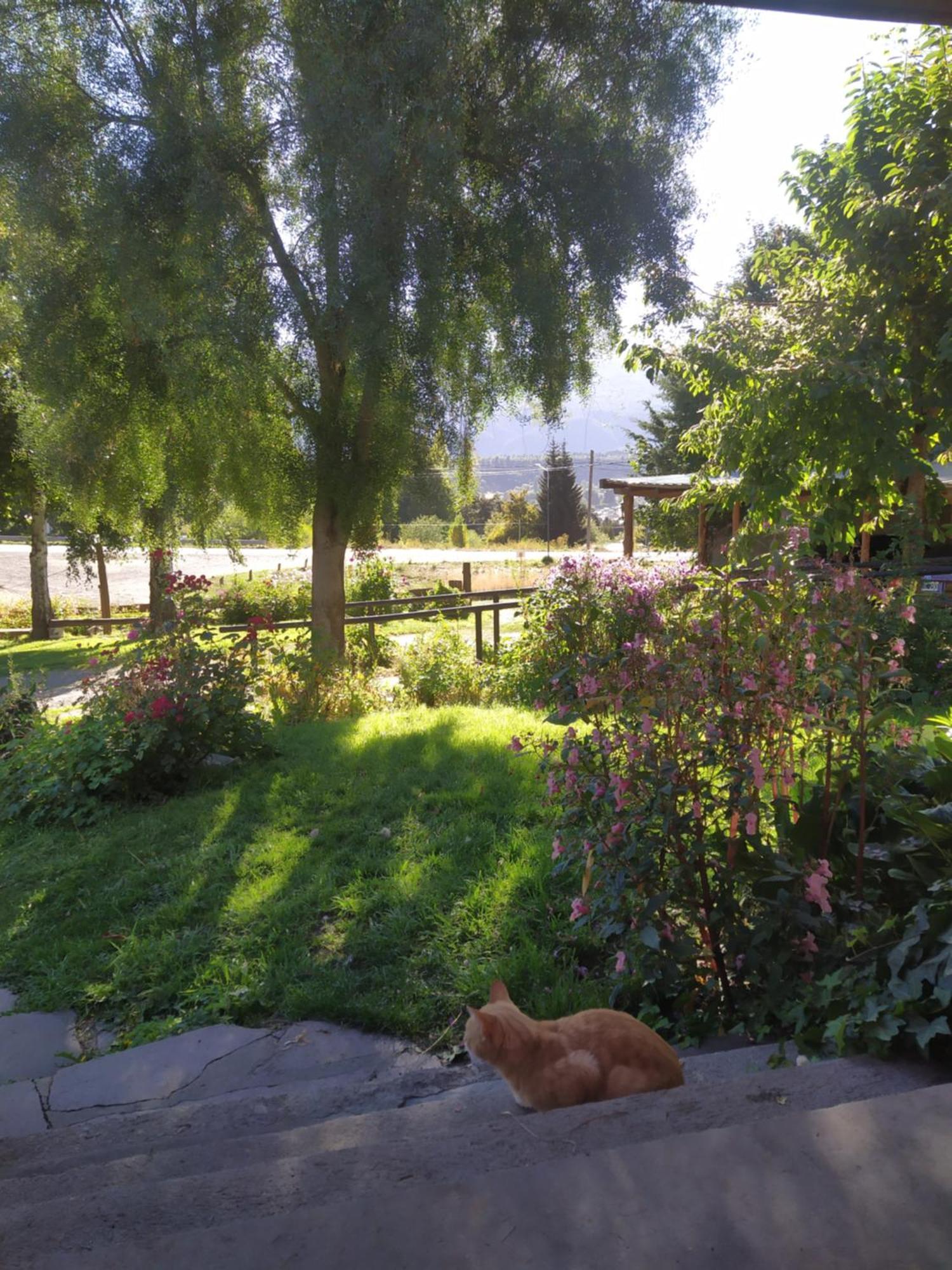 Hosteria Villa Turismo El Bolsón Екстериор снимка